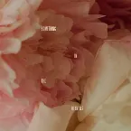 Pochette Something in the Heavens