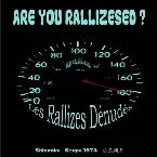 Pochette Are You Rallizesed?