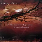 Pochette The Luminous Experience (Live in Enschede 2008)