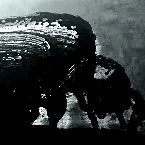 Pochette Fuyu No Shovel (Winterschaufeln)