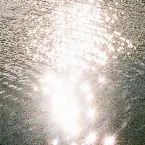 Pochette Got The Love