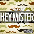 Pochette Hey Mister