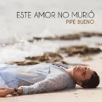 Pochette Este amor no murió