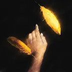 Pochette Vanilla Sky