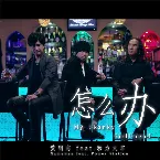 Pochette 怎么办 (My Skanky Girlfriend)