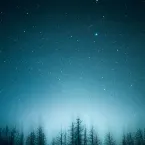 Pochette In Dark Autumn Nights