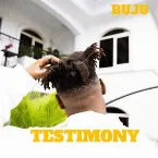 Pochette Testimony