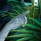 Pochette Tropical Midnight