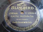 Pochette Peaceful Valley / Reminiscing