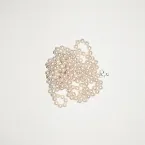 Pochette La vie, avec ou sans le risque ?