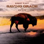 Pochette Saving Grace