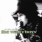 Pochette The Live Adventures of the Waterboys
