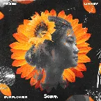 Pochette Sunflower