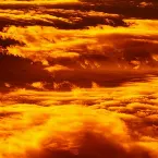 Pochette We're All Victims of Our Own Success, Yet Every Night a Million People Build Walls Around Their Fears All Over Again