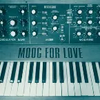 Pochette Moog for Love