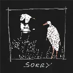 Pochette Sorry