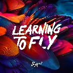 Pochette Learning To Fly