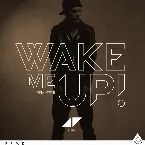 Pochette Wake Me Up (remixes II)