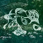 Pochette Hitotsukiamari