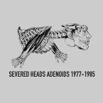 Pochette Adenoids 1977–1985