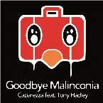 Pochette Goodbye Malinconia