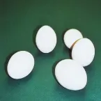 Pochette Five Eggs