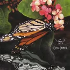 Pochette Class Insecta