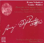 Pochette Quartetto in re minore, D. 810 “La morte e la fanciulla” (trascrizione per orchestra d’archi di Gustav Mahler)