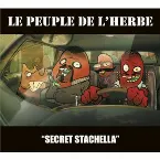 Pochette Secret Stachella