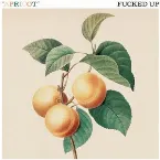 Pochette Apricot