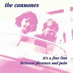 Pochette It's a Fine Line Between Pleasure and Pain