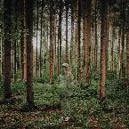 Pochette I Love You, I’m Trying