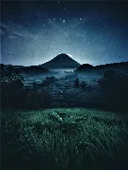 Pochette Embracing the Night