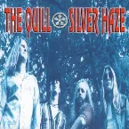 Pochette Silver Haze