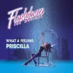 Pochette What a Feeling (Flashdance The Musical)