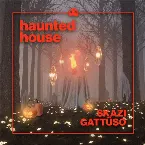 Pochette Haunted House (extended mix)