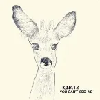 Pochette You Can't See Me