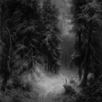 Pochette Wanderings Within Forests of Despondency II