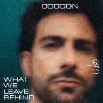 Pochette What We Leave Behind