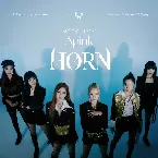Pochette HORN