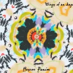 Pochette Hester Panim