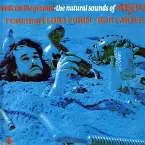 Pochette Seeds on the Ground