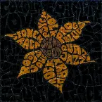 Pochette In the Fire