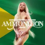 Pochette Ammunition (DENNIS remix)