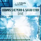 Pochette Dive