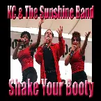 Pochette Shake Your Booty
