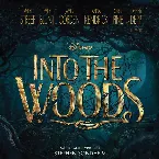 Pochette Into the Woods