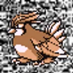 Pochette #017 ~ Pidgeotto