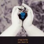 Pochette Singularity