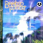 Pochette Random Future